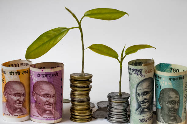 Savings Schemes